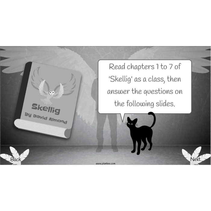 PlanBee Skellig: Reading Comprehension