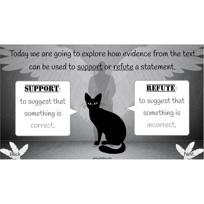 PlanBee Skellig: Reading Comprehension