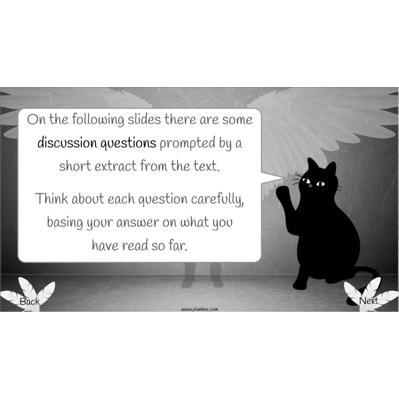 PlanBee Skellig: Reading Comprehension