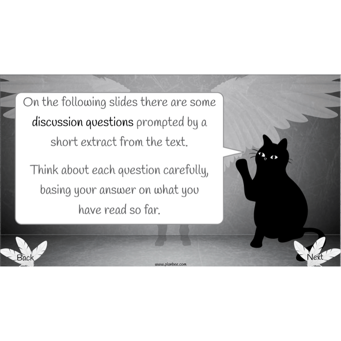 PlanBee Skellig: Reading Comprehension