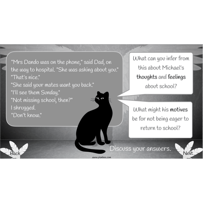 Skellig: Reading Comprehension