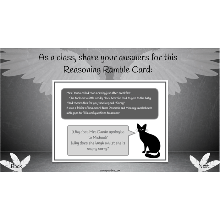 Skellig: Reading Comprehension