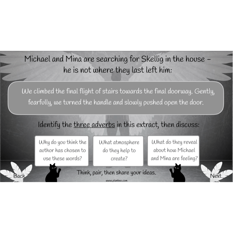 Skellig: Reading Comprehension