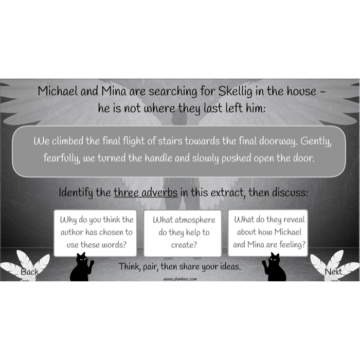 Skellig: Reading Comprehension