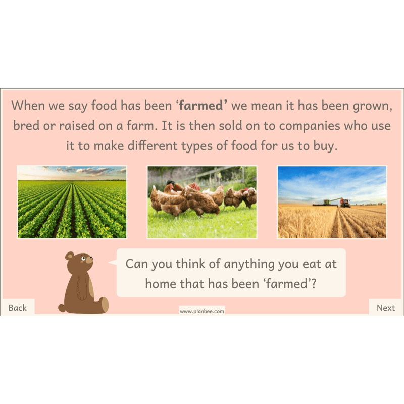 PlanBee Teddy Bears Picnic Ideas and DT Lessons by PlanBee