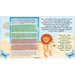 PlanBee The Butterfly Lion: Balanced Arguments KS2 Lesson Pack