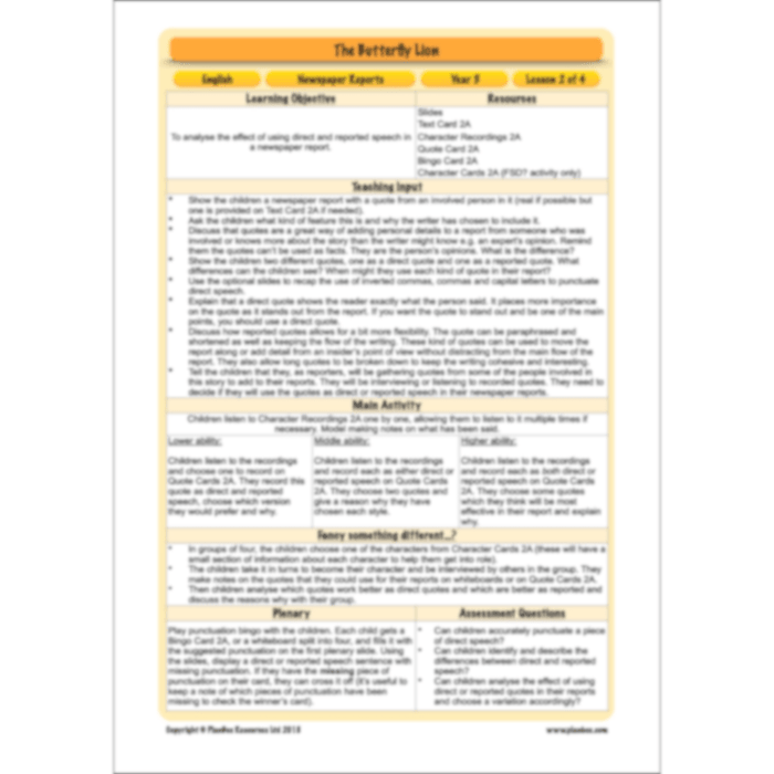 PlanBee The Butterfly Lion: Newspaper Reports KS2 English Pack