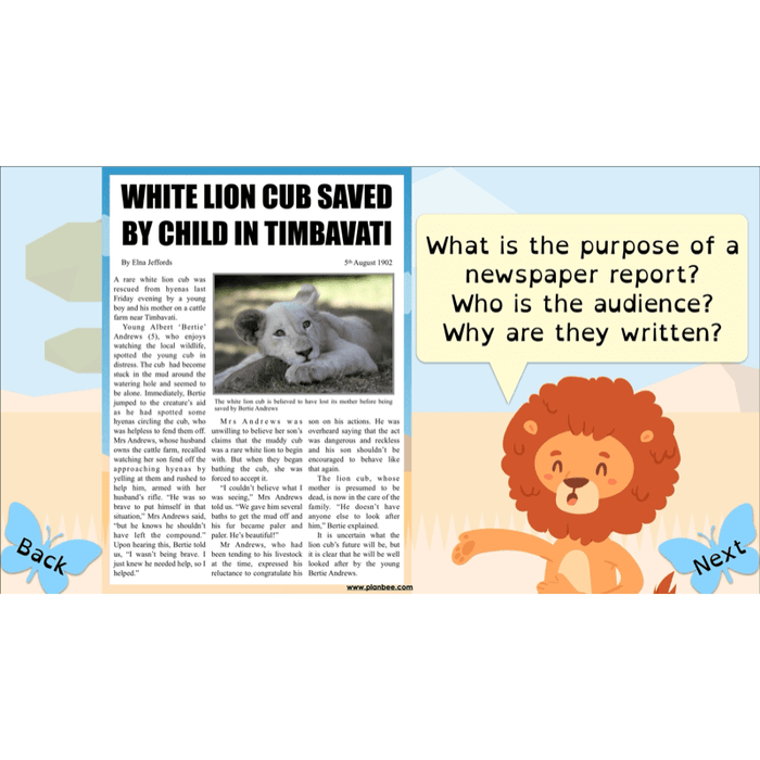 PlanBee The Butterfly Lion: Newspaper Reports KS2 English Pack