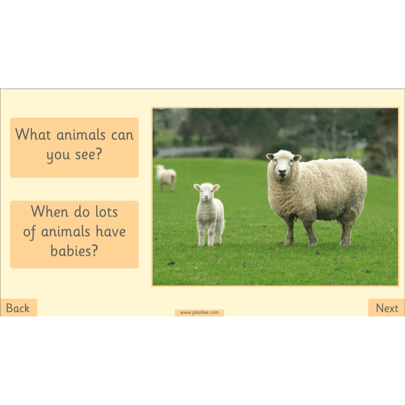 PlanBee The Four Seasons KS1 Geography Lesson Pack