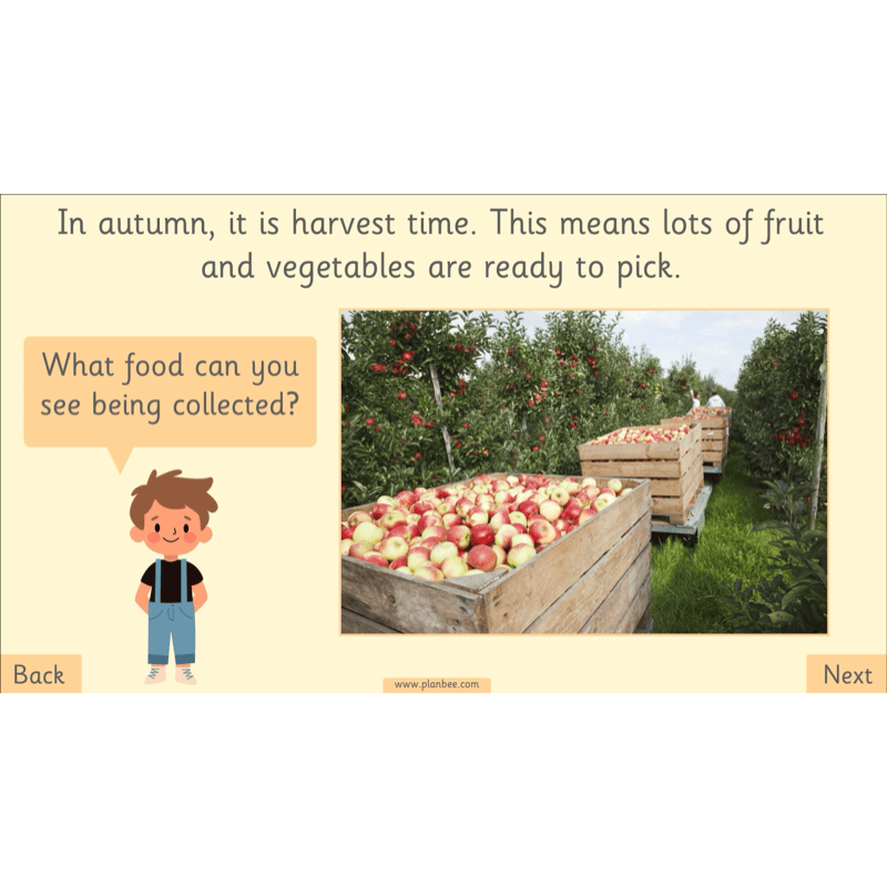 PlanBee The Four Seasons KS1 Geography Lesson Pack