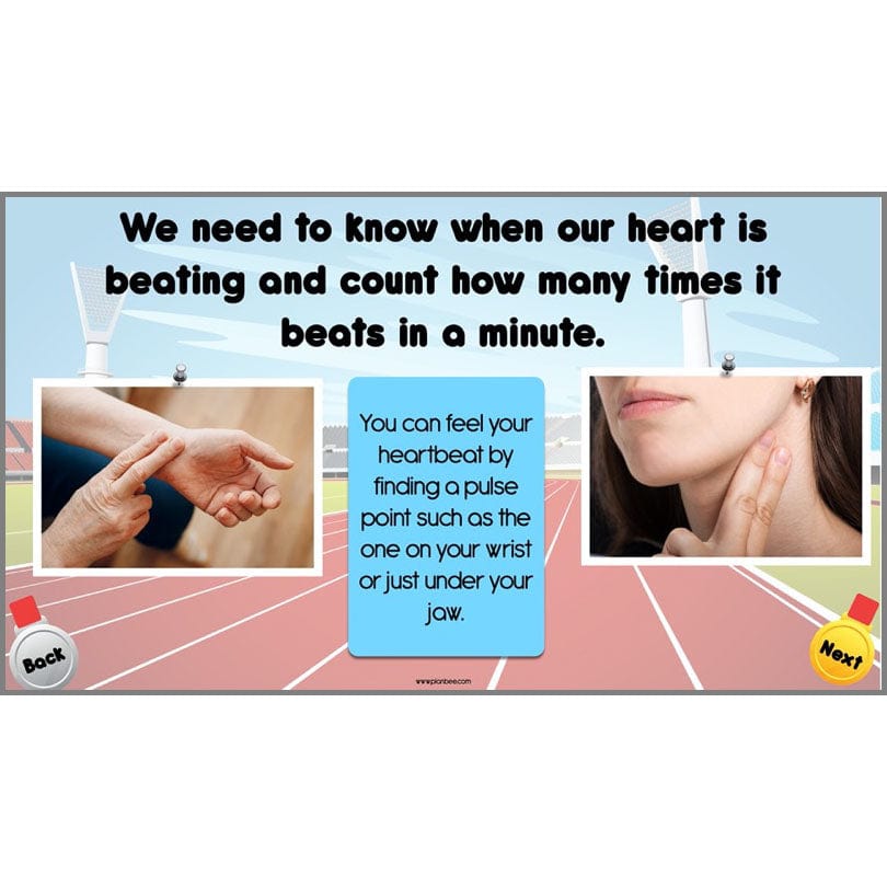 PlanBee Olympic Games Year 5/6 Lesson Pack by PlanBee