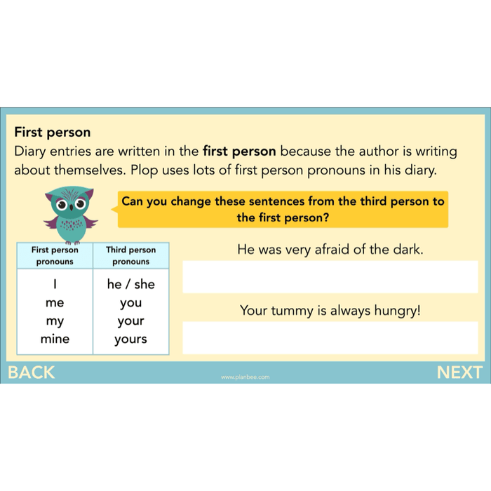 PlanBee FREE | The Owl who was Afraid of the Dark | Diaries KS2