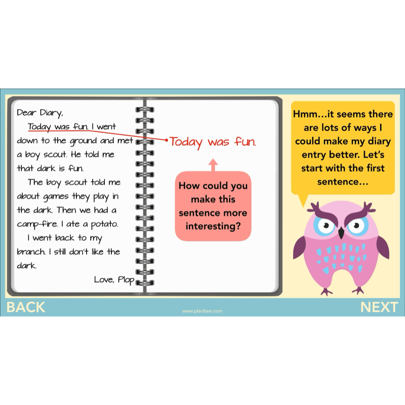 PlanBee FREE | The Owl who was Afraid of the Dark | Diaries KS2