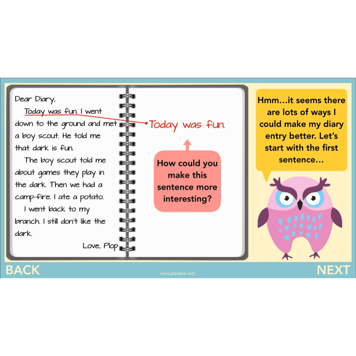 PlanBee FREE | The Owl who was Afraid of the Dark | Diaries KS2