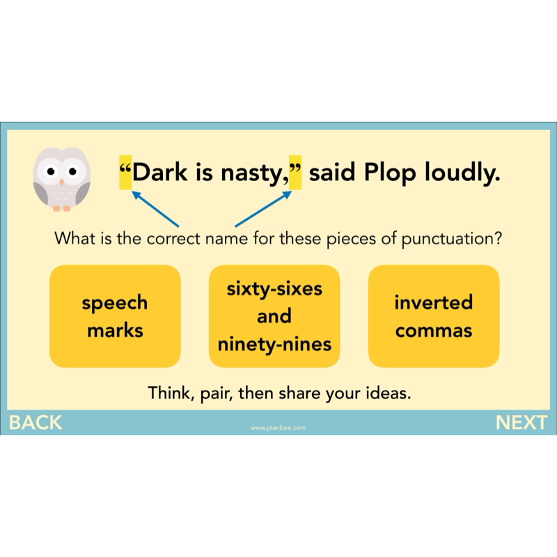 PlanBee The Owl who was Afraid of the Dark | KS2 Narrative Lessons