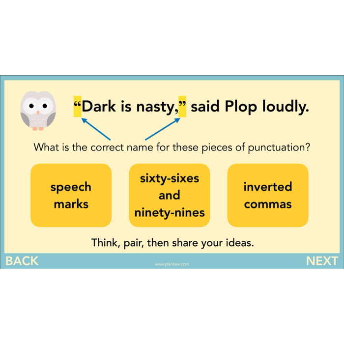 PlanBee The Owl who was Afraid of the Dark | KS2 Narrative Lessons