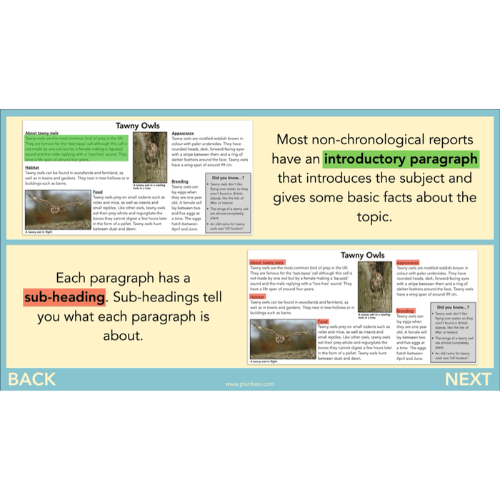 PlanBee The Owl who was Afraid of the Dark | KS2 Non-chronological Reports