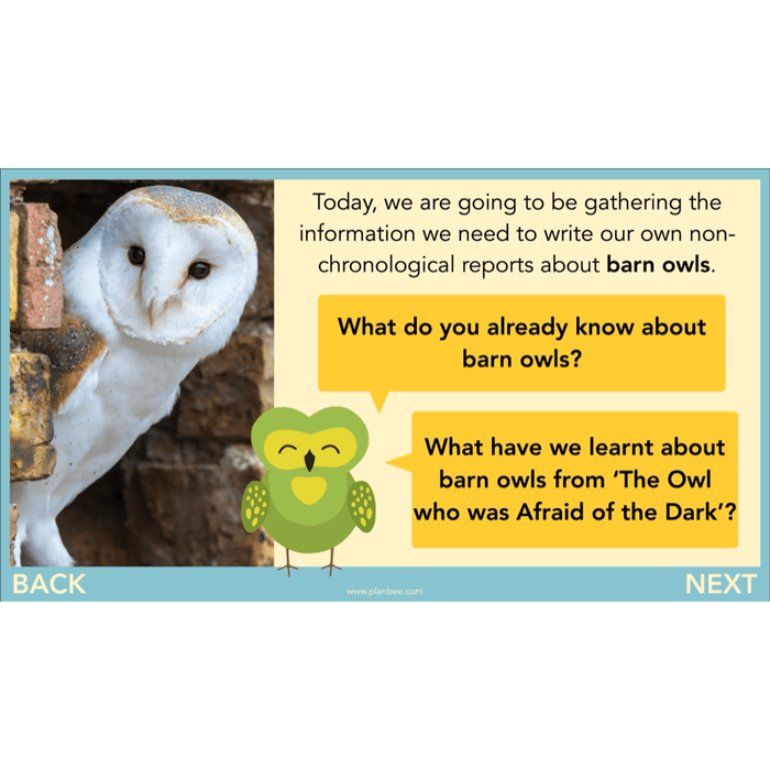 PlanBee The Owl who was Afraid of the Dark | KS2 Non-chronological Reports