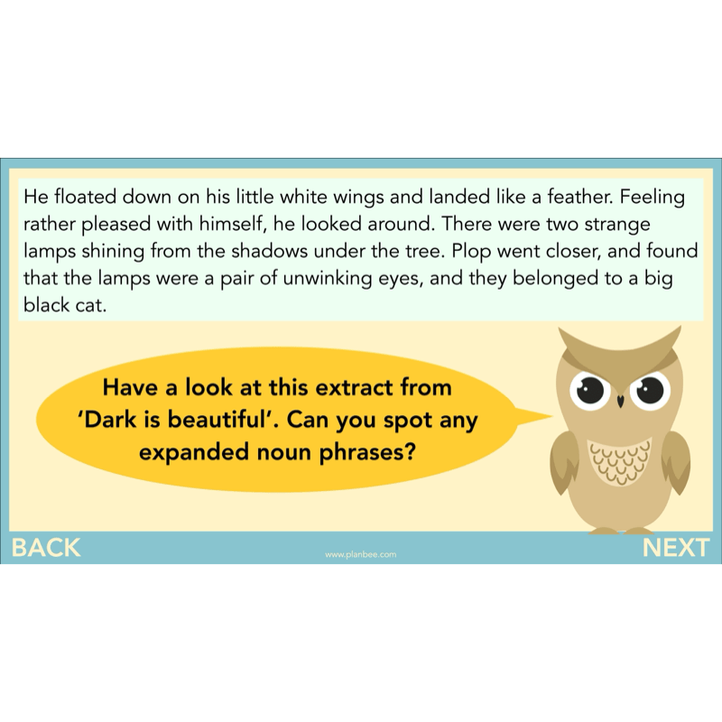 The Owl who was Afraid of the Dark: Reading Comprehension