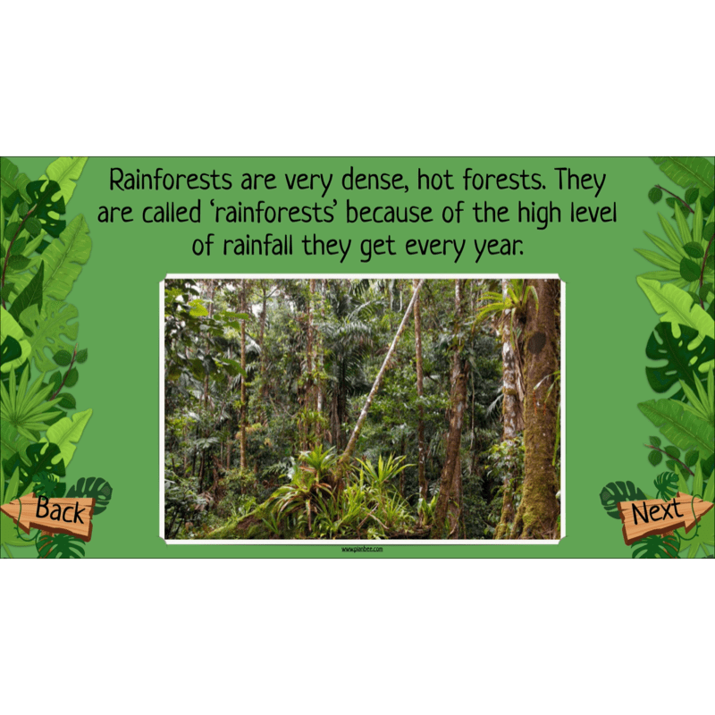 PlanBee The Rainforest Biome KS2 | Geography Lesson Pack