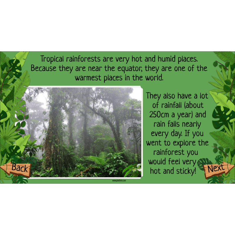 PlanBee The Rainforest Biome KS2 | Geography Lesson Pack