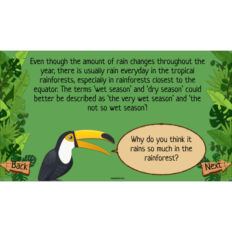 PlanBee The Rainforest Biome KS2 | Geography Lesson Pack