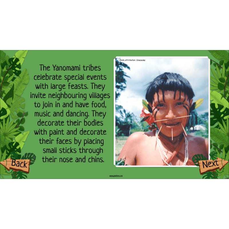 PlanBee The Rainforest Biome KS2 | Geography Lesson Pack