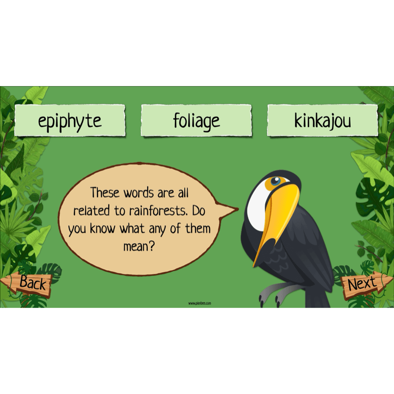 The Rainforest Topic Enrichment Pack