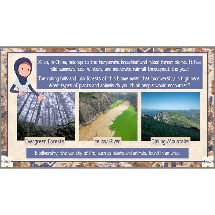 PlanBee The Silk Road KS2 Geography lessons | PlanBee