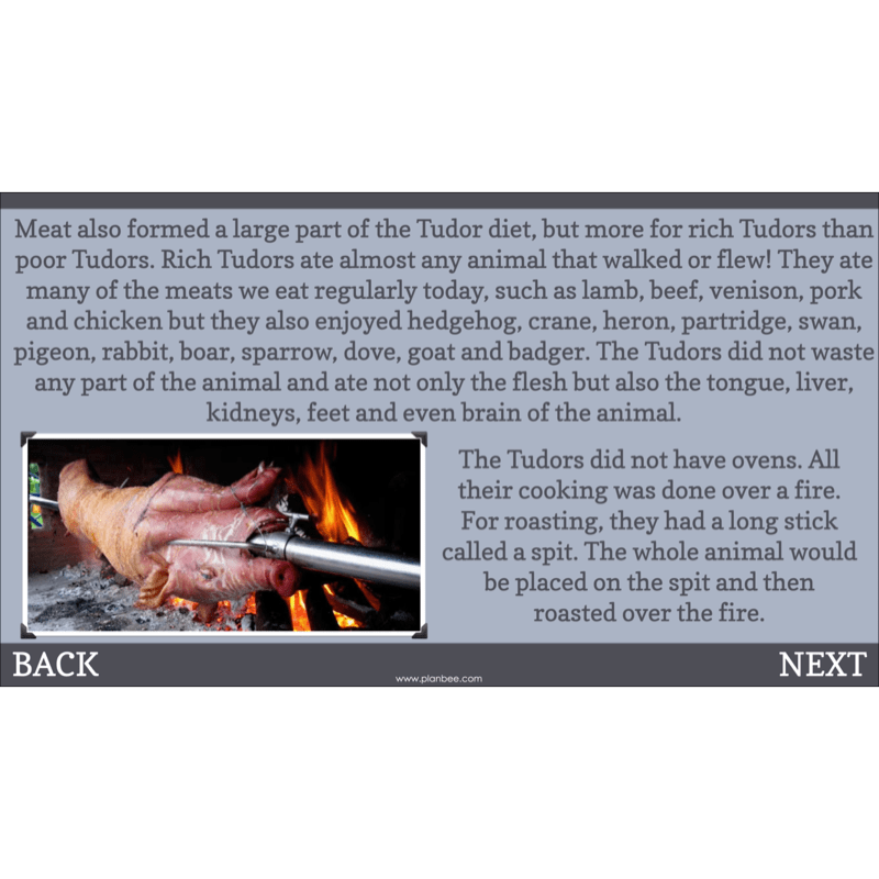 PlanBee The Tudors KS2 History Lessons and Resources