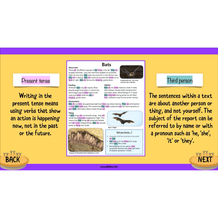 PlanBee The Twits: Non-chronological Reports KS2 | Y4 English Pack