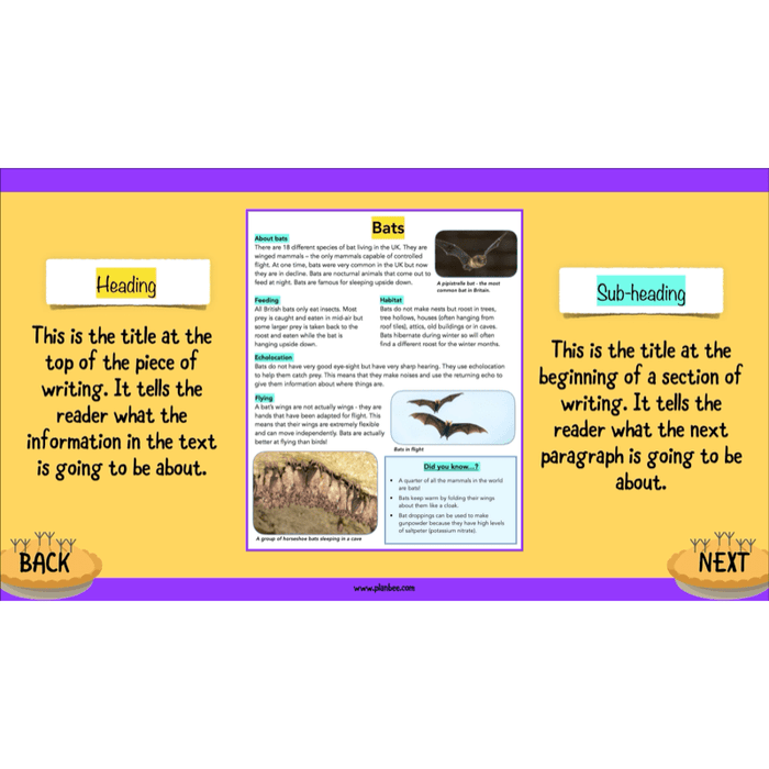 PlanBee The Twits: Non-chronological Reports KS2 | Y4 English Pack