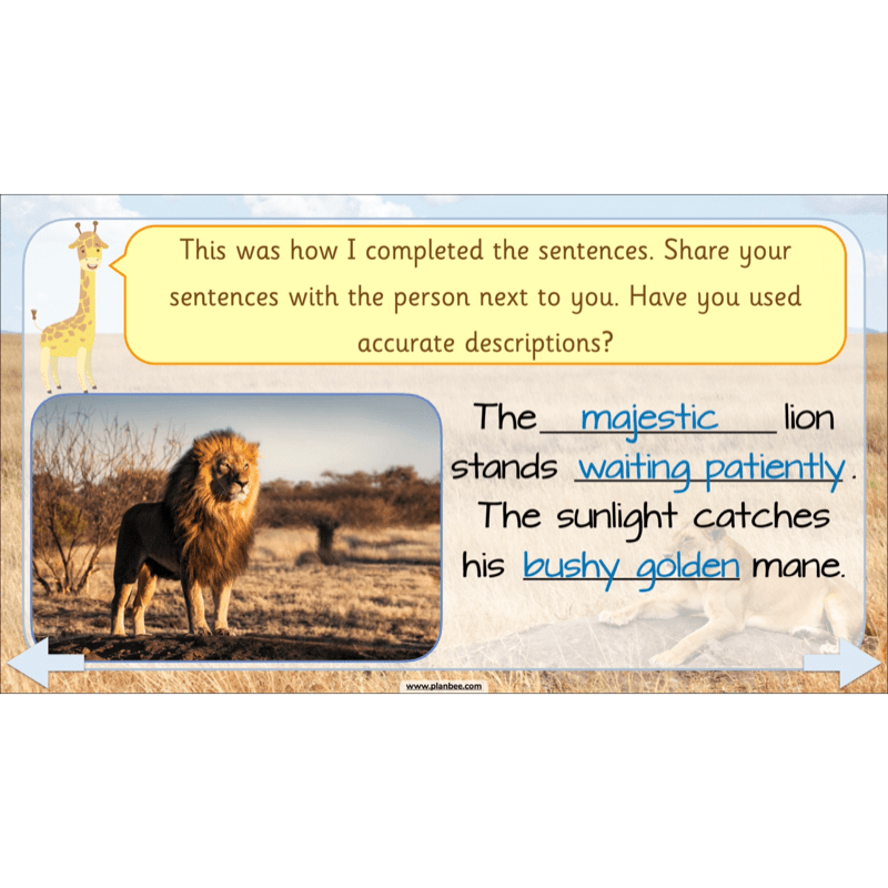 PlanBee We're Going on a Lion Hunt KS1 English Lesson Planning