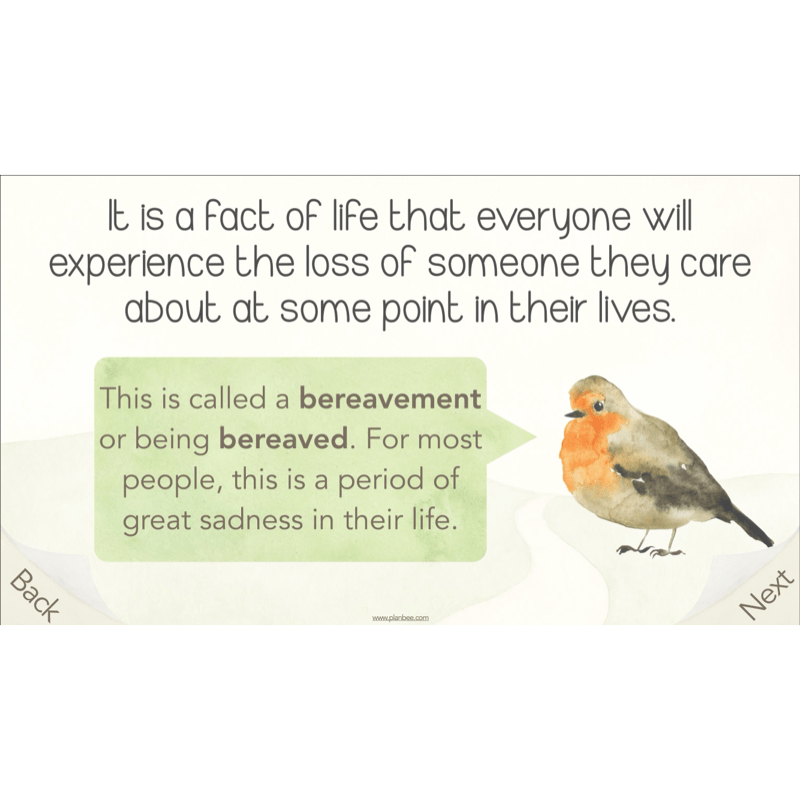 PlanBee What happens when we die? KS2 RE Lesson Plans