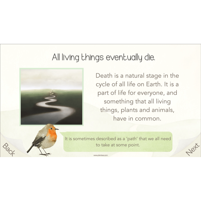 PlanBee What happens when we die? KS2 RE Lesson Plans