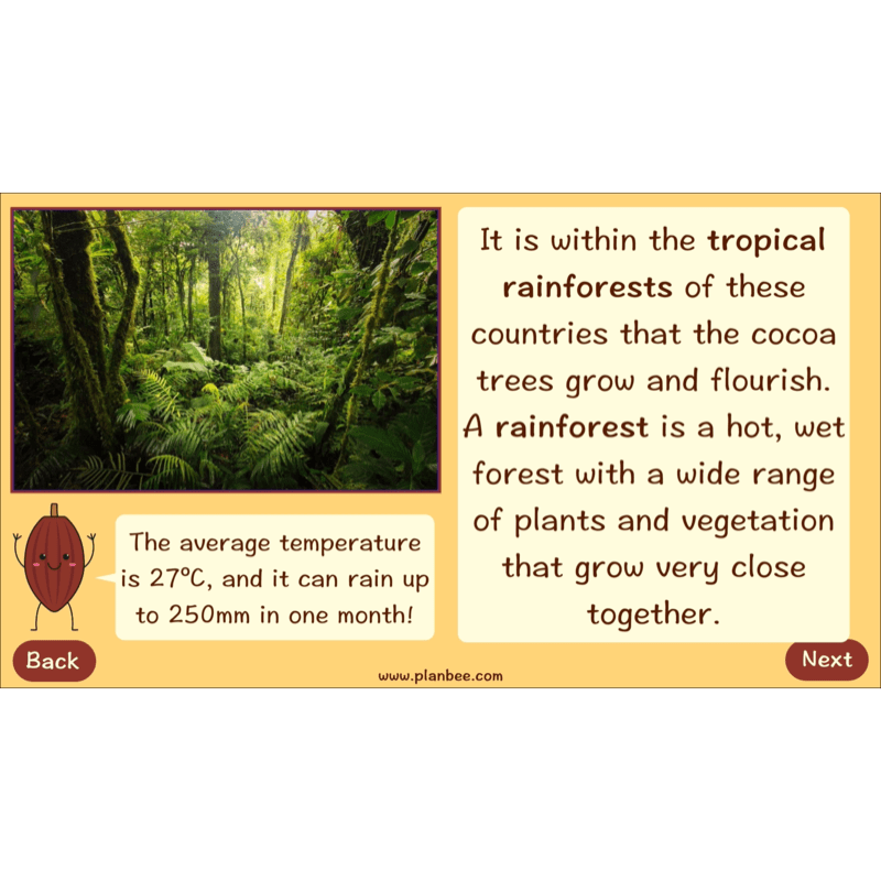 PlanBee Where does Chocolate come from? | KS2 Geography lessons