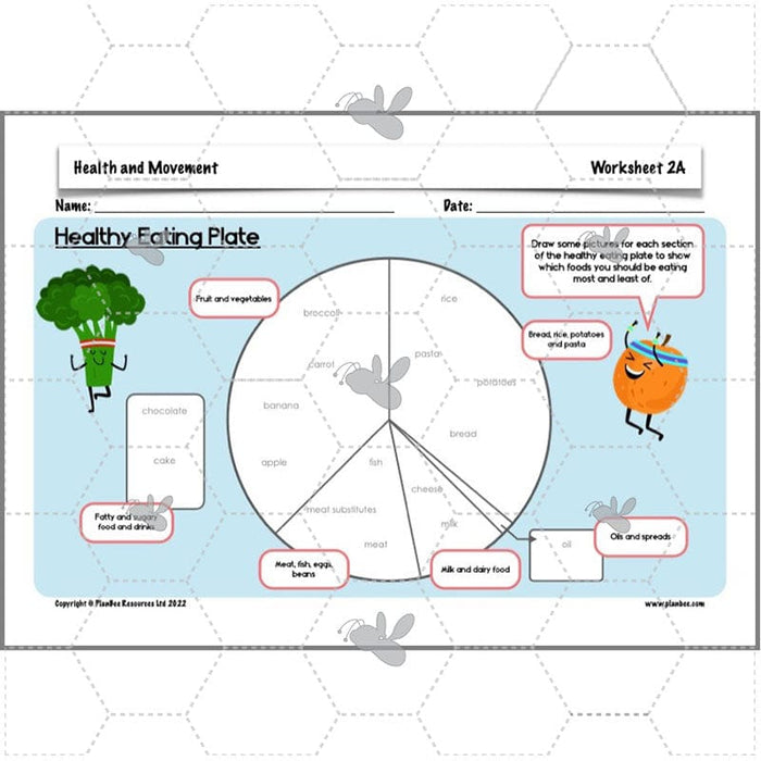 PlanBee Animals Including Humans Year 3 Science Lessons by PlanBee