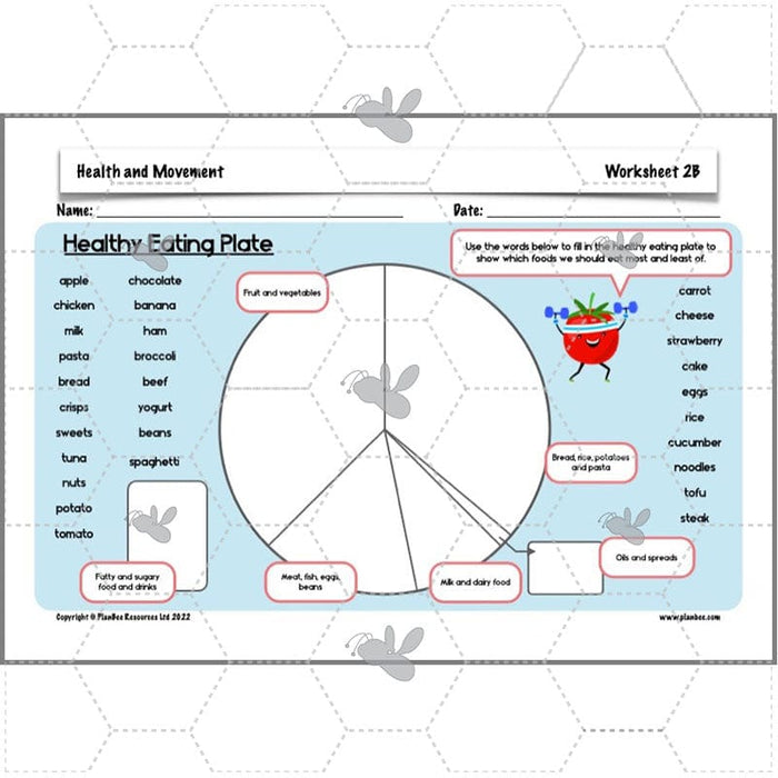 PlanBee Animals Including Humans Year 3 Science Lessons by PlanBee