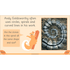 PlanBee Andy Goldsworthy KS1 Art Lesson Plans created by PlanBee