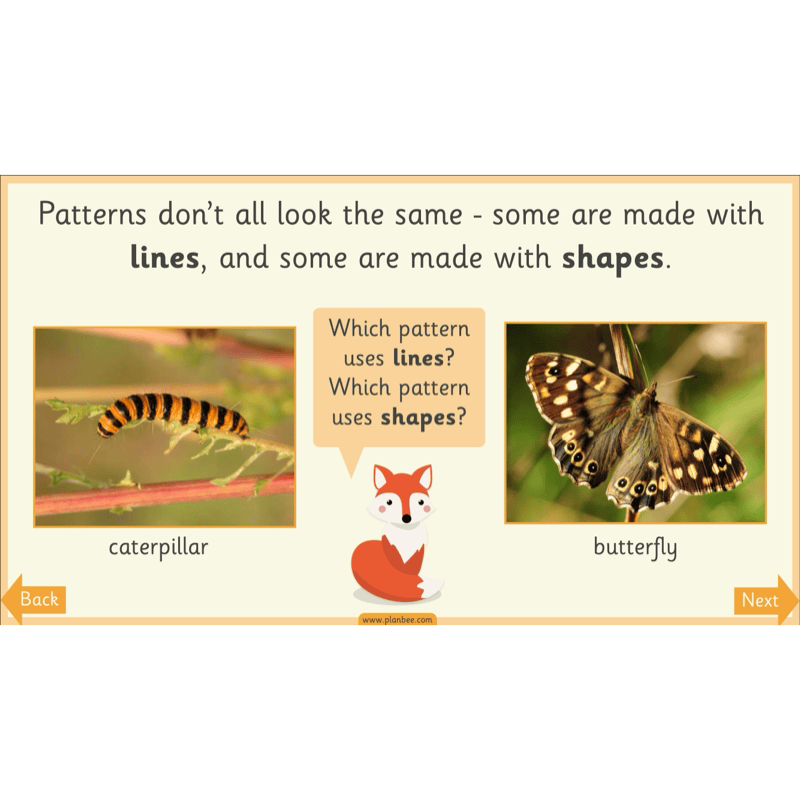PlanBee Animal Art KS1 | Art Lesson Pack