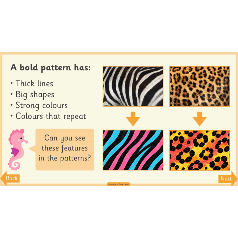 PlanBee Animal Art KS1 | Art Lesson Pack