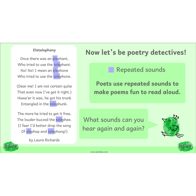 PlanBee Animal Poetry KS1 English Lesson Pack
