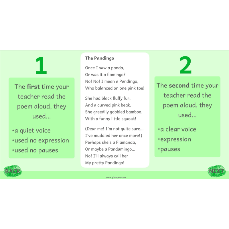 PlanBee Animal Poetry KS1 English Lesson Pack
