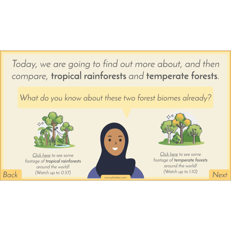 PlanBee Biomes KS2 Geography Lessons