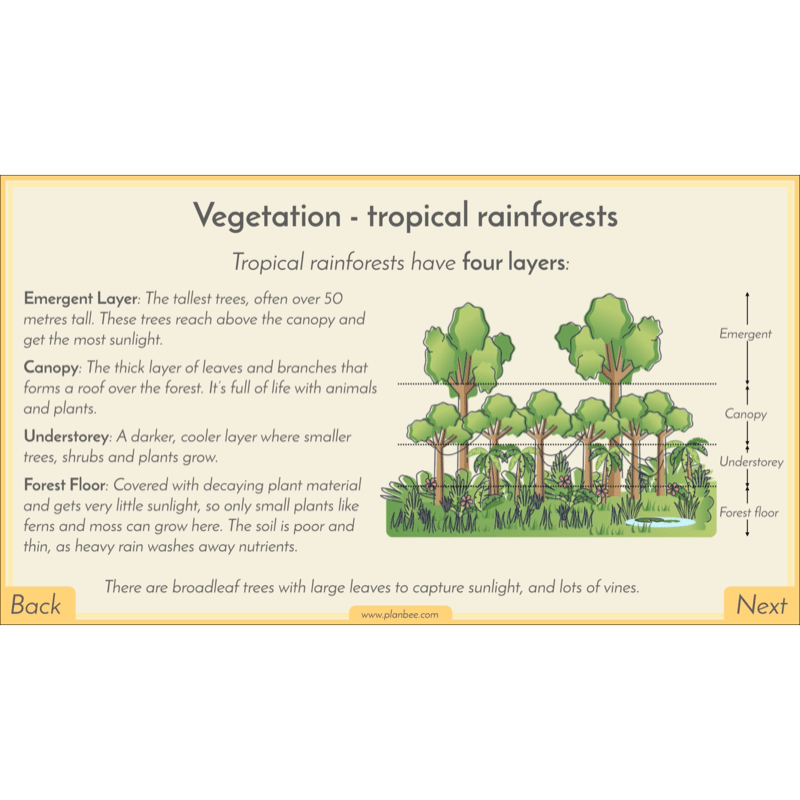 PlanBee Biomes KS2 Geography Lessons