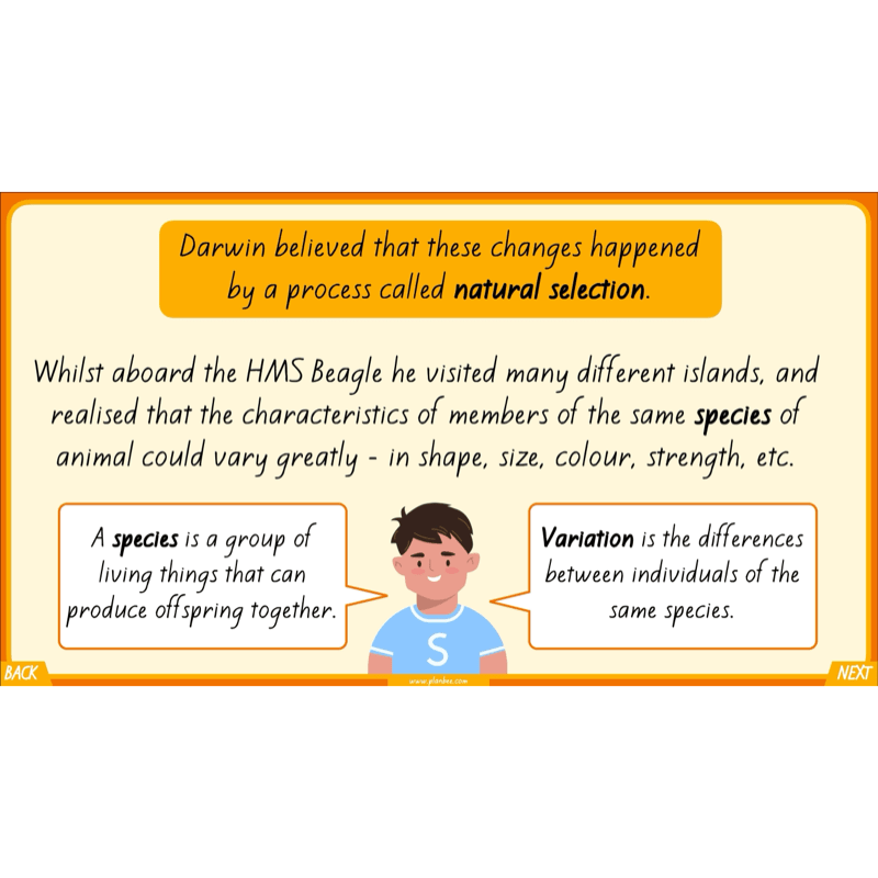 PlanBee Charles Darwin KS2 Lesson Pack