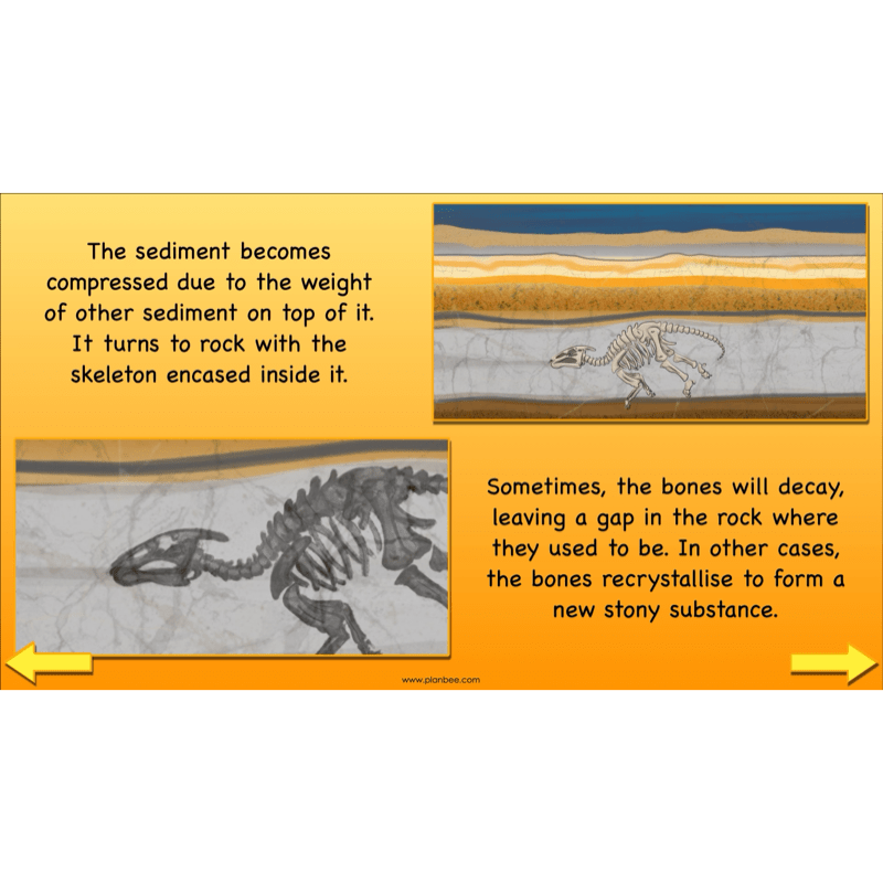 PlanBee Dinosaurs Topic KS2 Enrichment Lesson Pack