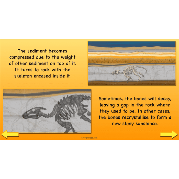PlanBee Dinosaurs Topic KS2 Enrichment Lesson Pack