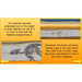 PlanBee Dinosaurs Topic KS2 Enrichment Lesson Pack