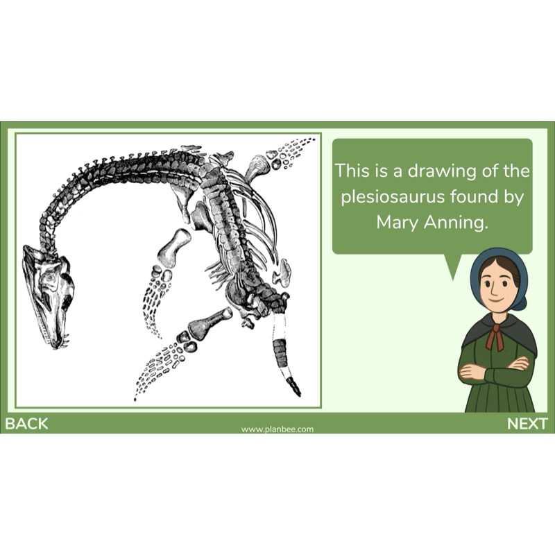 Dinosaurs KS2 Topic Enrichment Pack